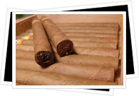 Cuba tobacco