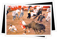Sports Bullfighting